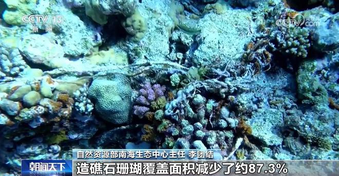 借力打力逼“坐滩”舰撤离效果已显现九游会J9入口菲搬石头砸脚了中方(图3)
