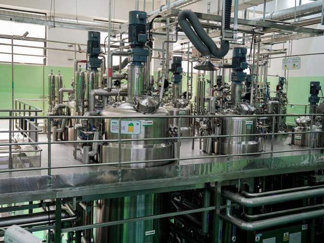 长引擎自然堂的双十一样本九游会j9登录科研成为增(图1)