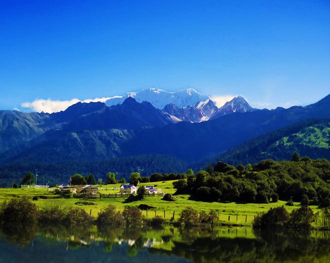 长引擎自然堂的双十一样本九游会j9登录科研成为增(图3)